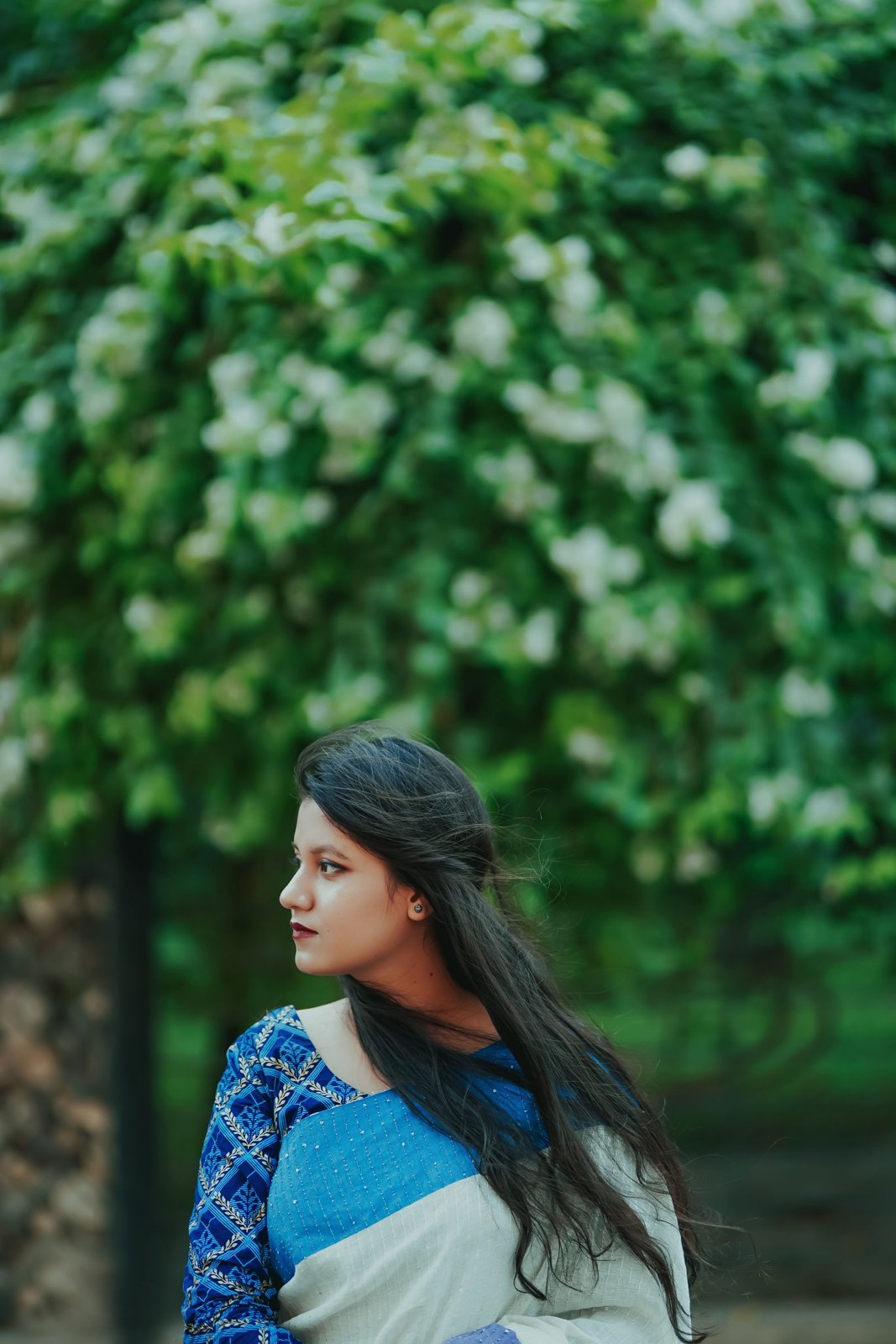 Indigo Mul Cotton Saree