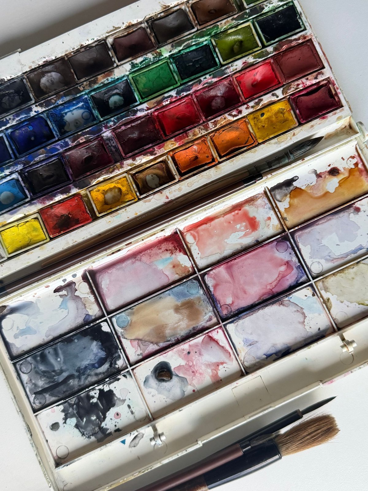 Student Watercolour Set (24)