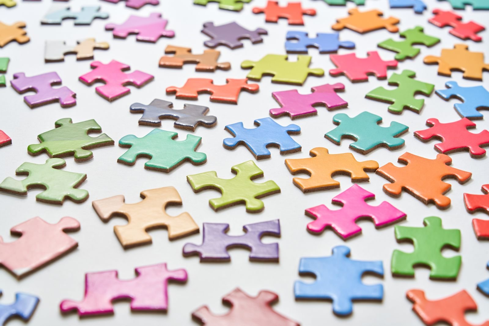 India Map Jigsaw (100 pcs)