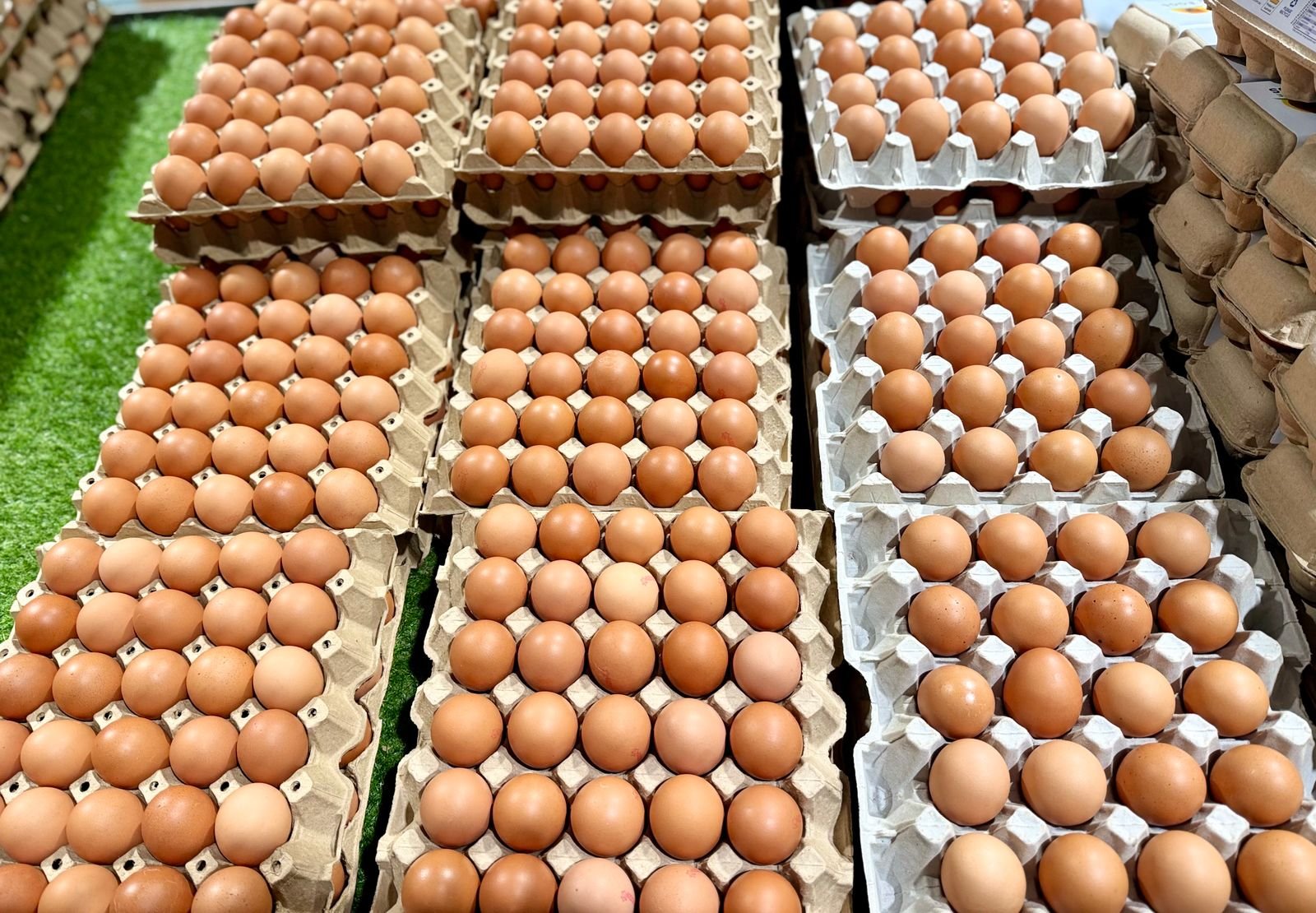 Farm Fresh Eggs (12)