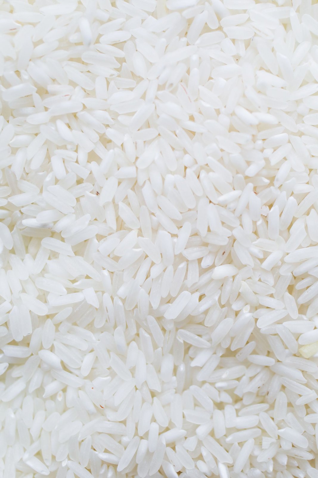 Sona Masoori Rice